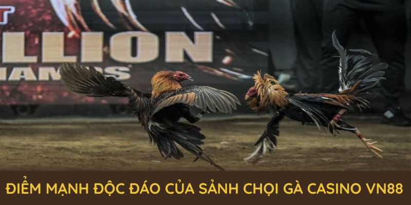 Khám phá những điểm mạnh độc đáo của sảnh chọi gà casino VN88