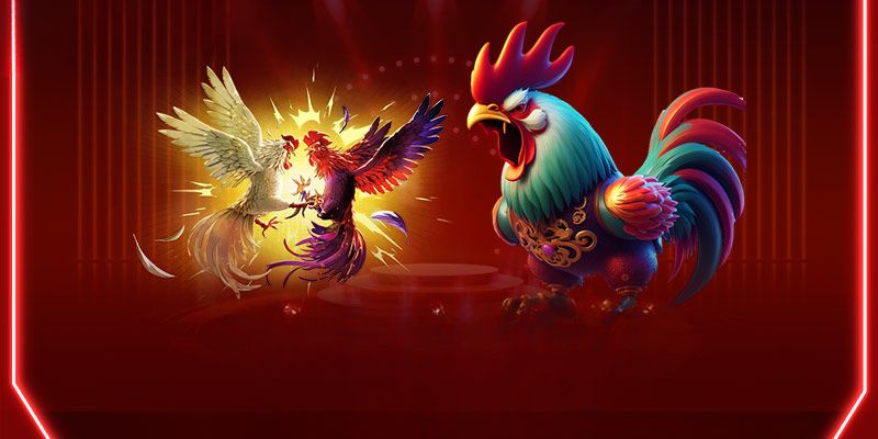 Có thể lựa chọn từ nhiều loại hình tại đá gà VN88 Khi đoán đúng thành viên có thể rút tiền về tài khoản